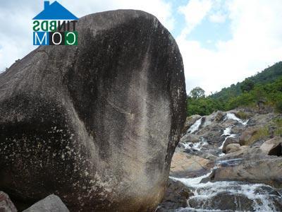 Hình ảnh Hòa Trí, Khánh Hòa