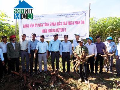 Hình ảnh Nam Khánh Vĩnh, Khánh Hòa