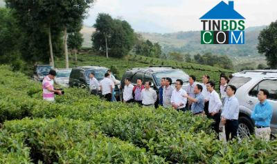 Hình ảnh Mường Khoa, Lai Châu