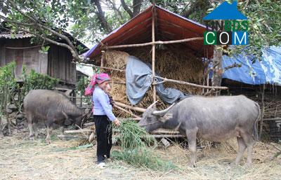 Hình ảnh Mường Kim, Lai Châu