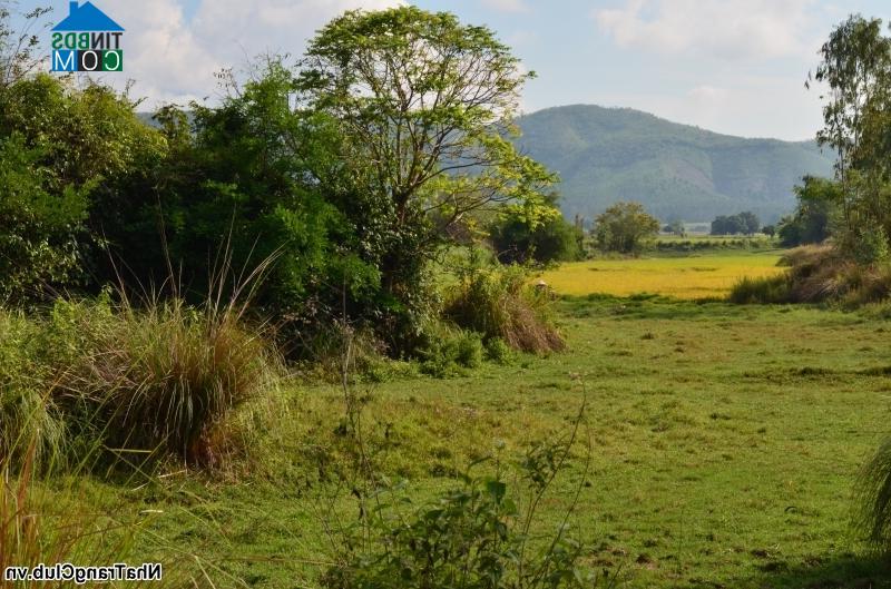 Hình ảnh Tân Định, Khánh Hòa