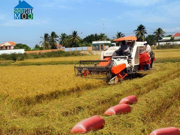 Hình ảnh Thuận Nam, Khánh Hòa