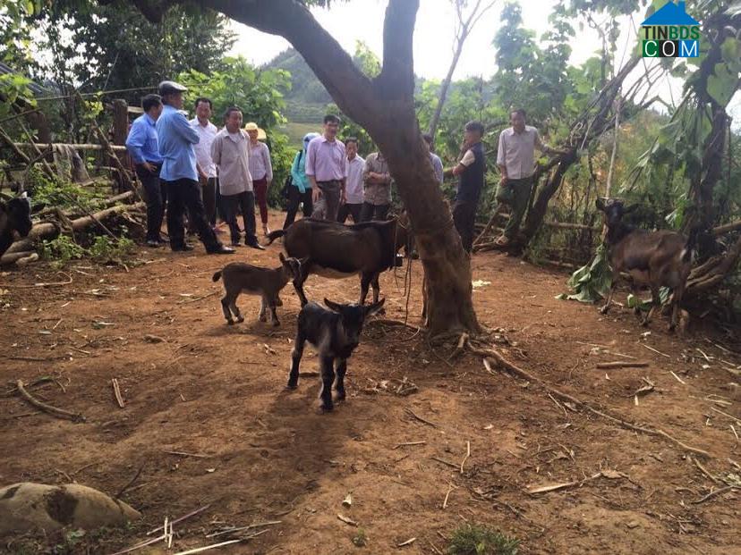 Hình ảnh Tủa Sín Chải, Lai Châu