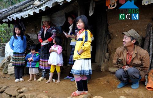 Hình ảnh Dào San, Lai Châu