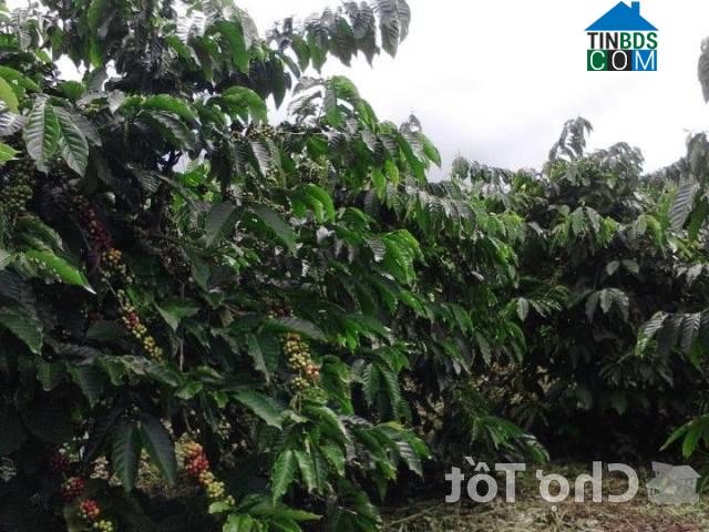 Hình ảnh Đinh Trang Thượng, Lâm Đồng