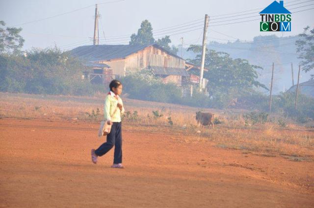 Hình ảnh Sơn Điền, Lâm Đồng