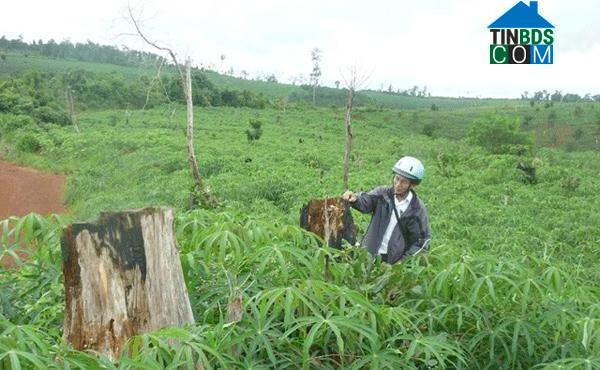 Hình ảnh Bảo Lâm 4, Lâm Đồng