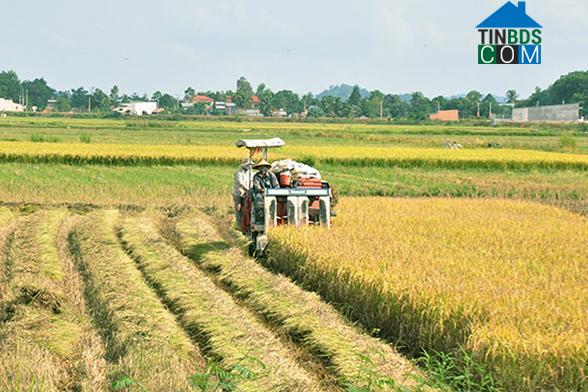 Hình ảnh Cát Tiên, Lâm Đồng