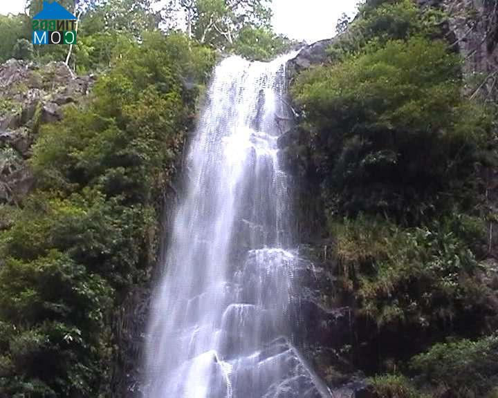 Hình ảnh Tuy Phong, Lâm Đồng