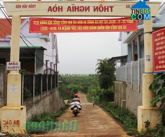 Hình ảnh Đông Gia Nghĩa, Lâm Đồng