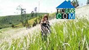 Hình ảnh Lạc Dương, Lâm Đồng