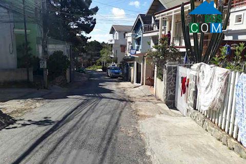 Hình ảnh Lâm Viên - Đà Lạt, Lâm Đồng