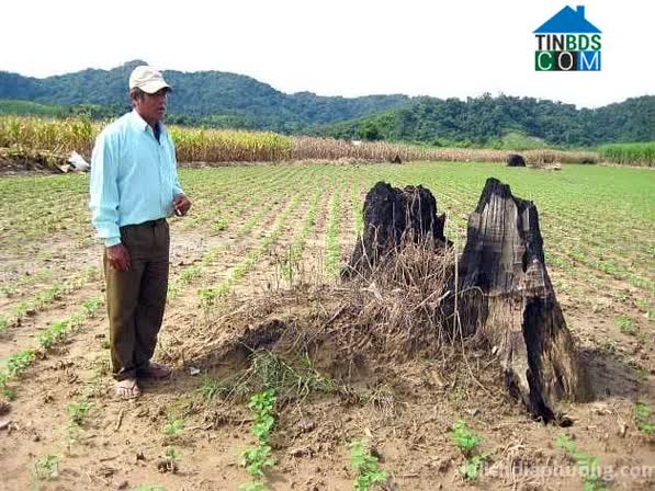 Hình ảnh Nam Đà, Lâm Đồng