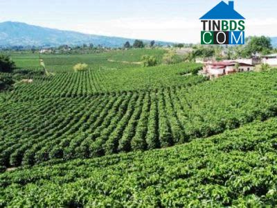 Hình ảnh Nam Hà Lâm Hà, Lâm Đồng