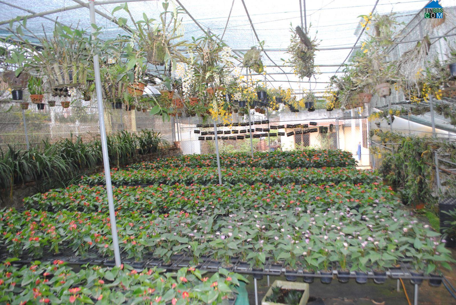 Hình ảnh Hòa Bắc, Lâm Đồng