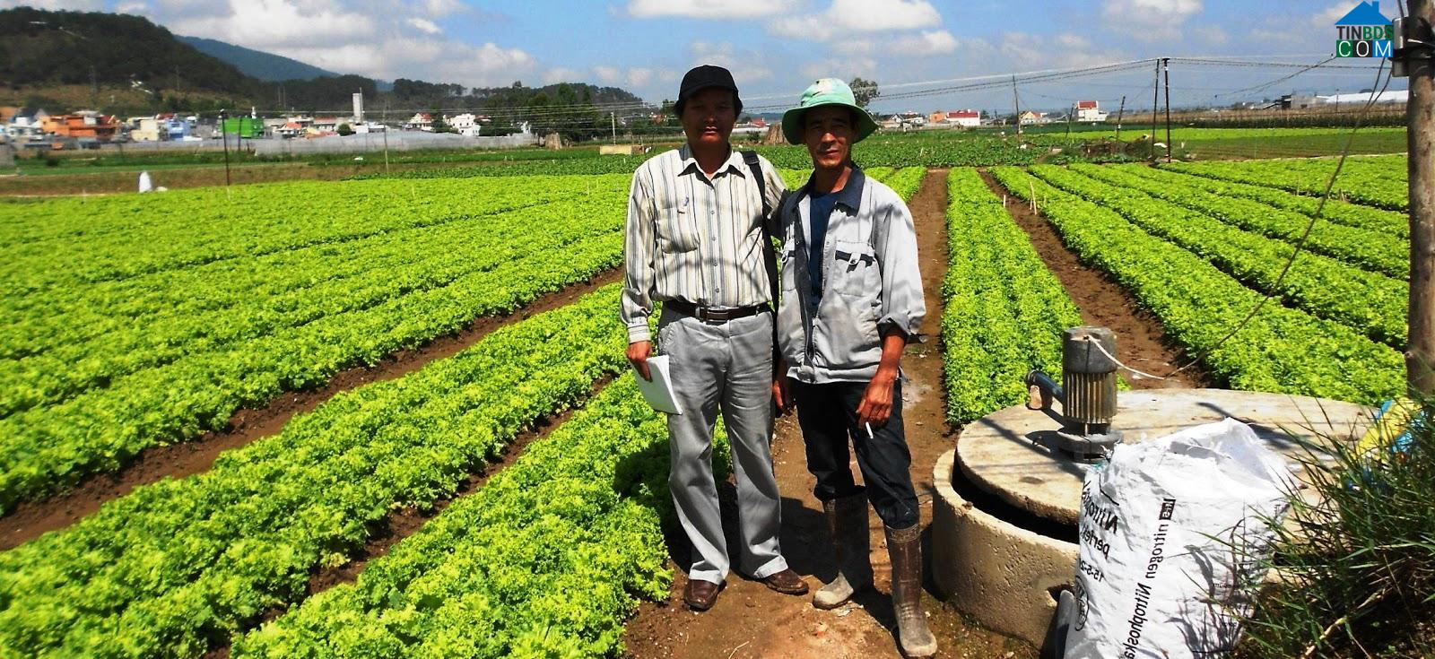 Hình ảnh Ka Đô, Lâm Đồng