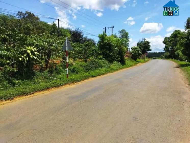 Hình ảnh Kiến Đức, Lâm Đồng