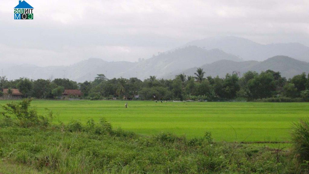 Hình ảnh Nghị Đức, Lâm Đồng