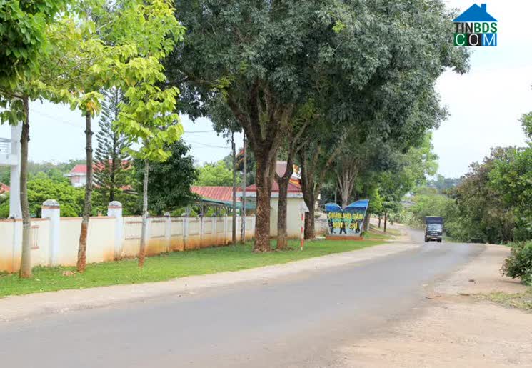 Hình ảnh Quảng Tân, Lâm Đồng