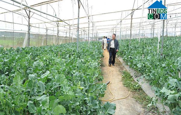 Hình ảnh Tà Hine, Lâm Đồng