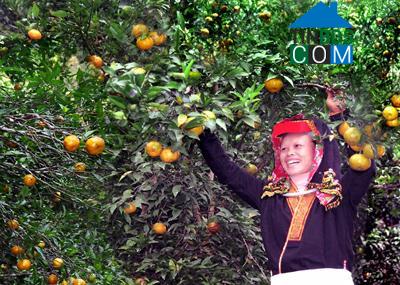 Hình ảnh Chiến Thắng, Lạng Sơn