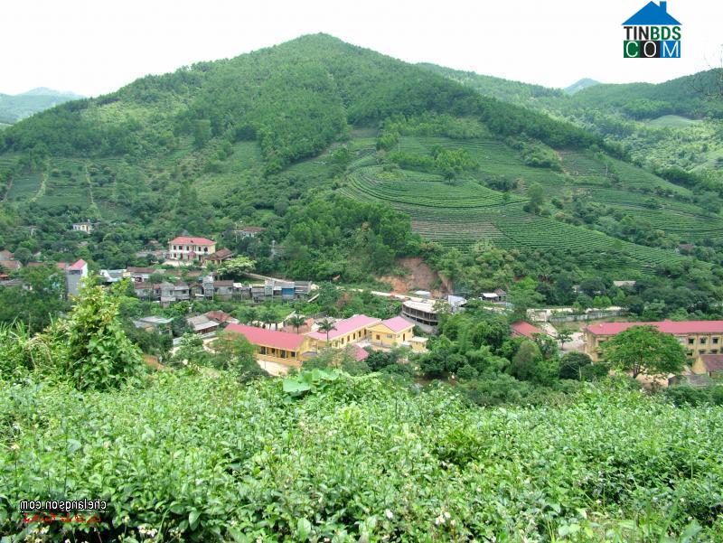 Hình ảnh Thái Bình, Lạng Sơn