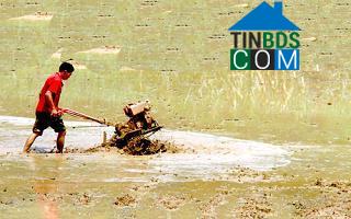 Hình ảnh Thụy Hùng, Lạng Sơn