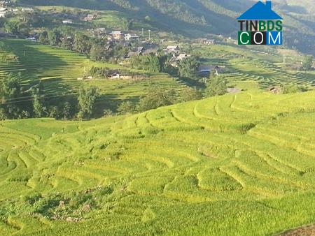 Hình ảnh Cao Sơn, Lào Cai