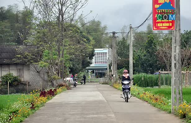 Hình ảnh Cầu Thia, Lào Cai