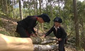 Hình ảnh Chiềng Ken, Lào Cai