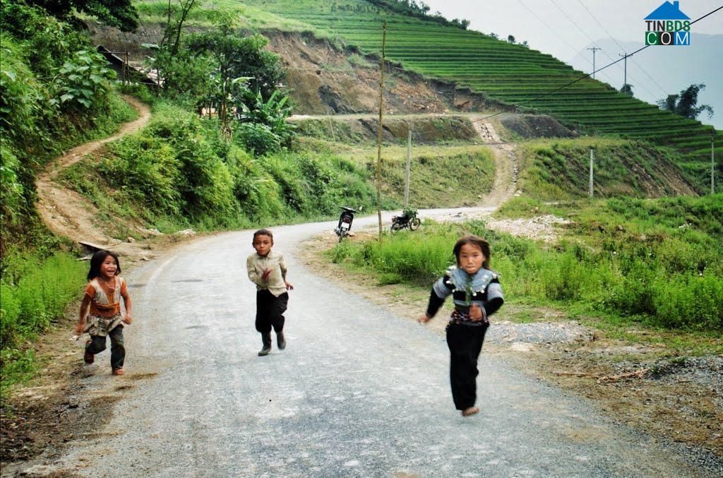 Hình ảnh Dền Sáng, Lào Cai