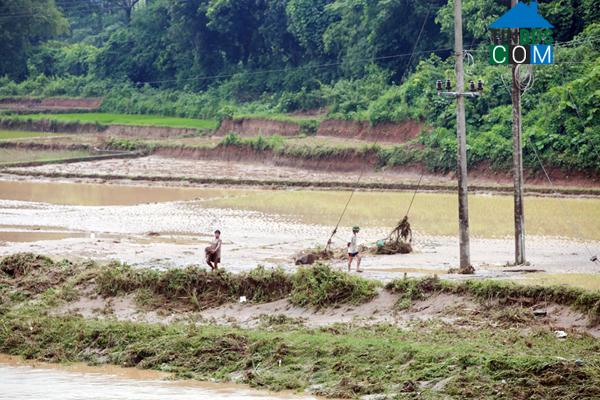 Hình ảnh Gia Phú, Lào Cai