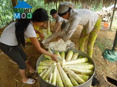 Hình ảnh Hưng Khánh, Lào Cai