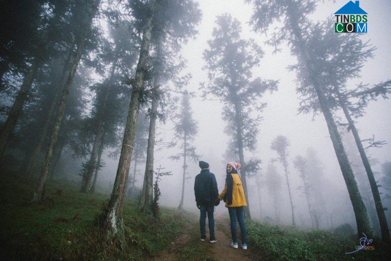 Hình ảnh Sa Pa, Lào Cai