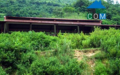 Hình ảnh Sín Chéng, Lào Cai