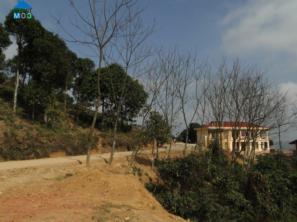 Hình ảnh Sơn Lương, Lào Cai