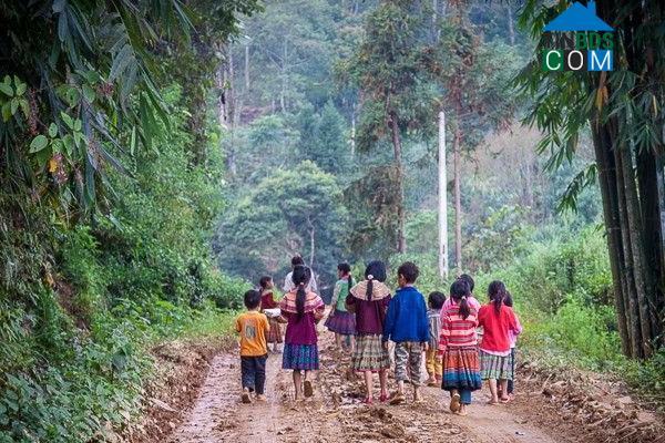 Hình ảnh Tả Củ Tỷ, Lào Cai