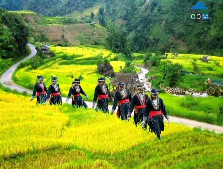 Hình ảnh Mường Bo, Lào Cai