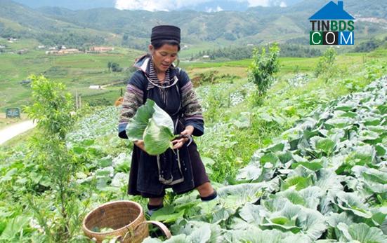 Hình ảnh Nậm Chày, Lào Cai