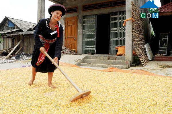 Hình ảnh Nậm Xé, Lào Cai