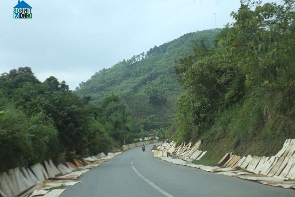 Hình ảnh Nghĩa Tâm, Lào Cai