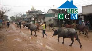 Hình ảnh Bạch Hà, Nghệ An