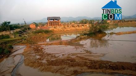 Hình ảnh Vĩnh Tường, Nghệ An