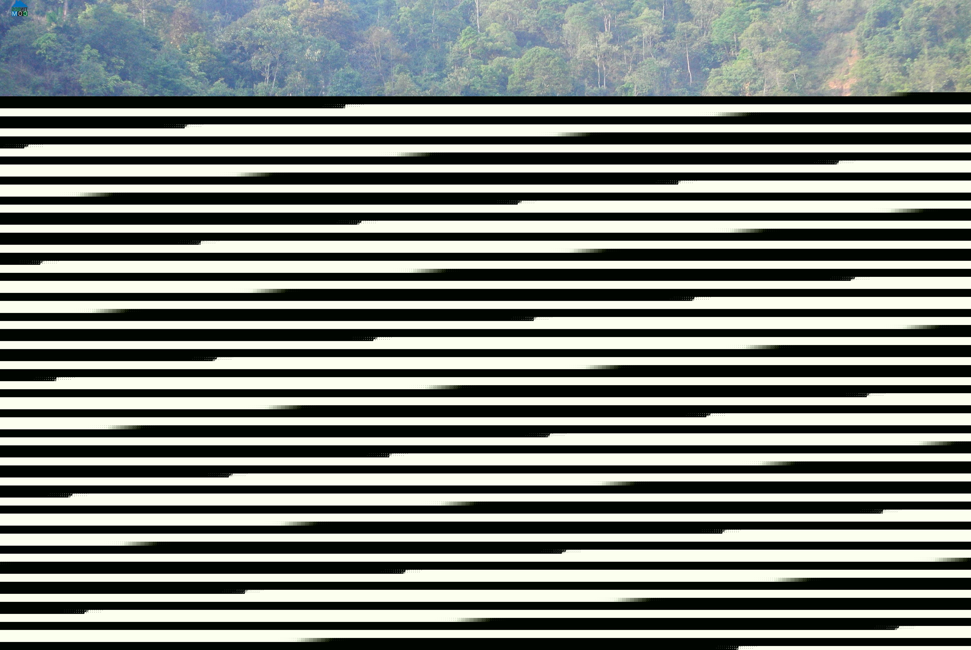 Hình ảnh Trạm Tấu, Lào Cai