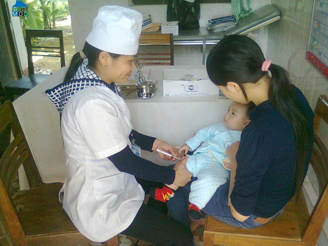 Hình ảnh Trung Tâm, Lào Cai