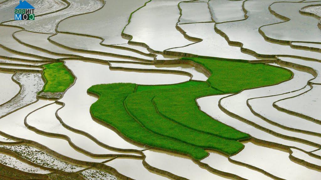 Hình ảnh Tú Lệ, Lào Cai