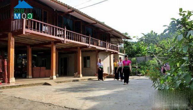 Hình ảnh Văn Chấn, Lào Cai