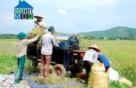 Hình ảnh Xuân Ái, Lào Cai