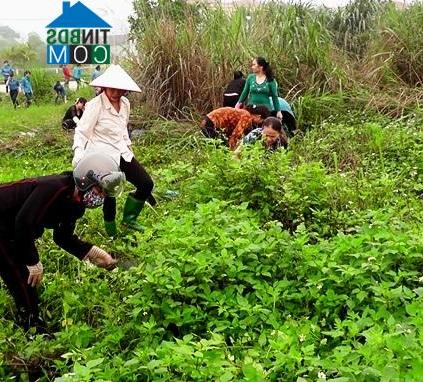 Hình ảnh Yên Bái, Lào Cai