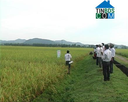 Hình ảnh An Châu, Nghệ An